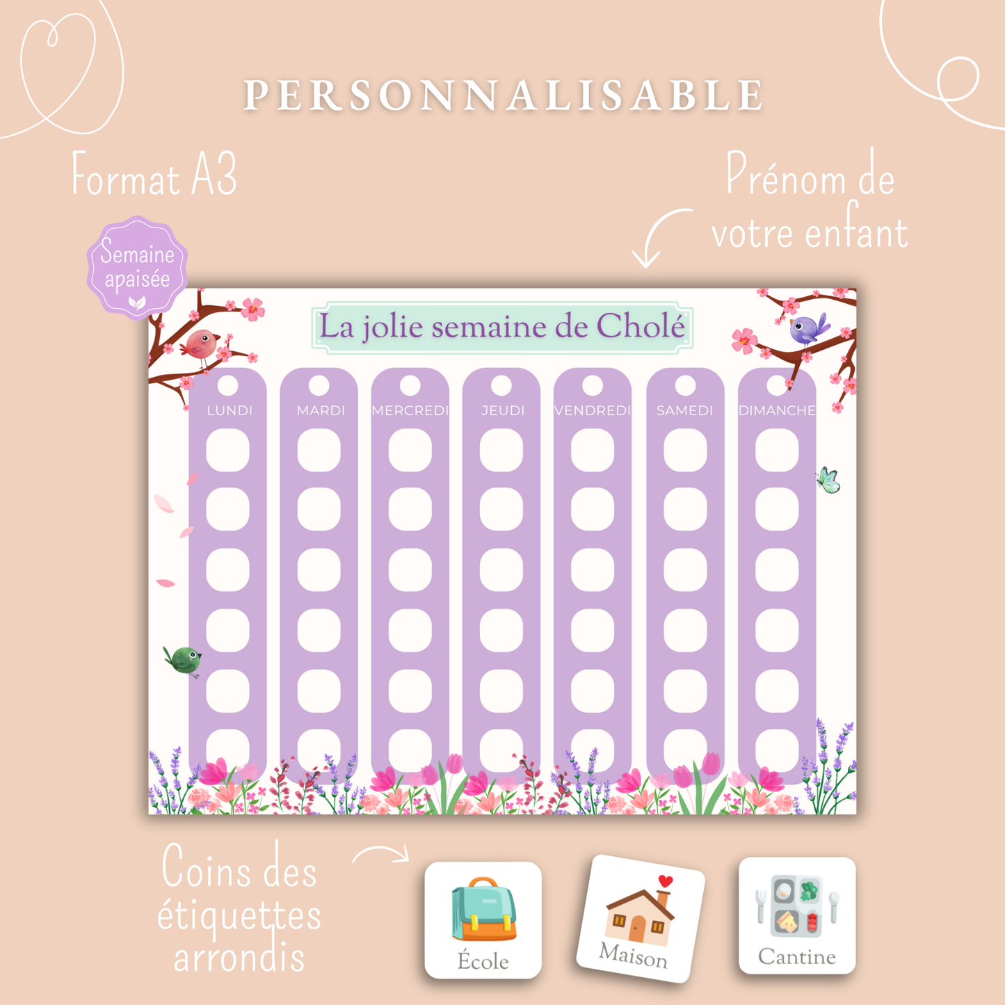 Semainier Plastifié
